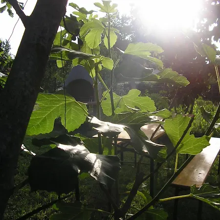 Coki בית הארחה 3*