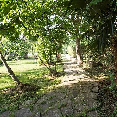 Coki בית הארחה