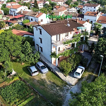 Coki Guest house