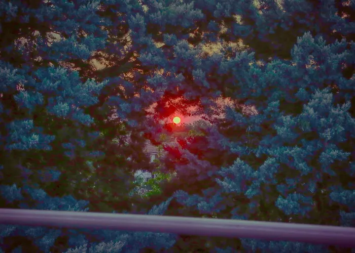 Coki Gostinjska kuća